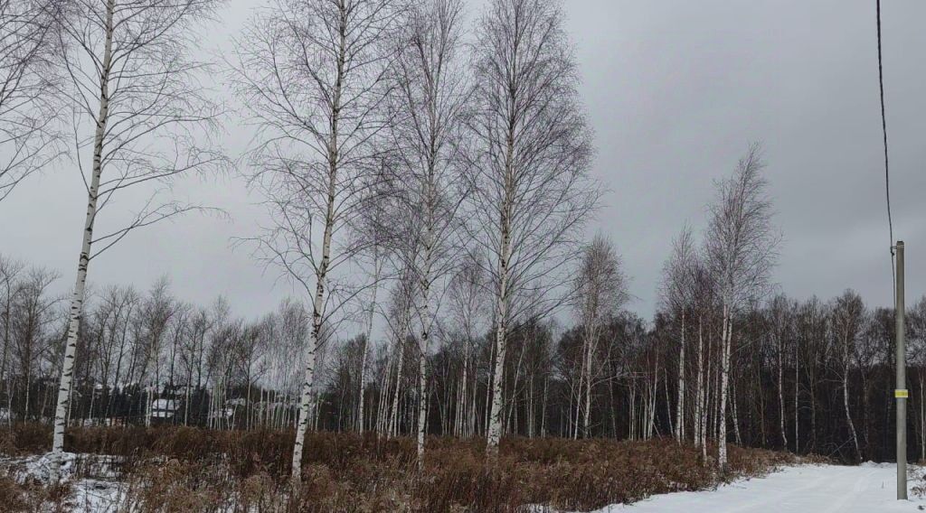 земля Тула городской округ, д. Федоровка фото 2