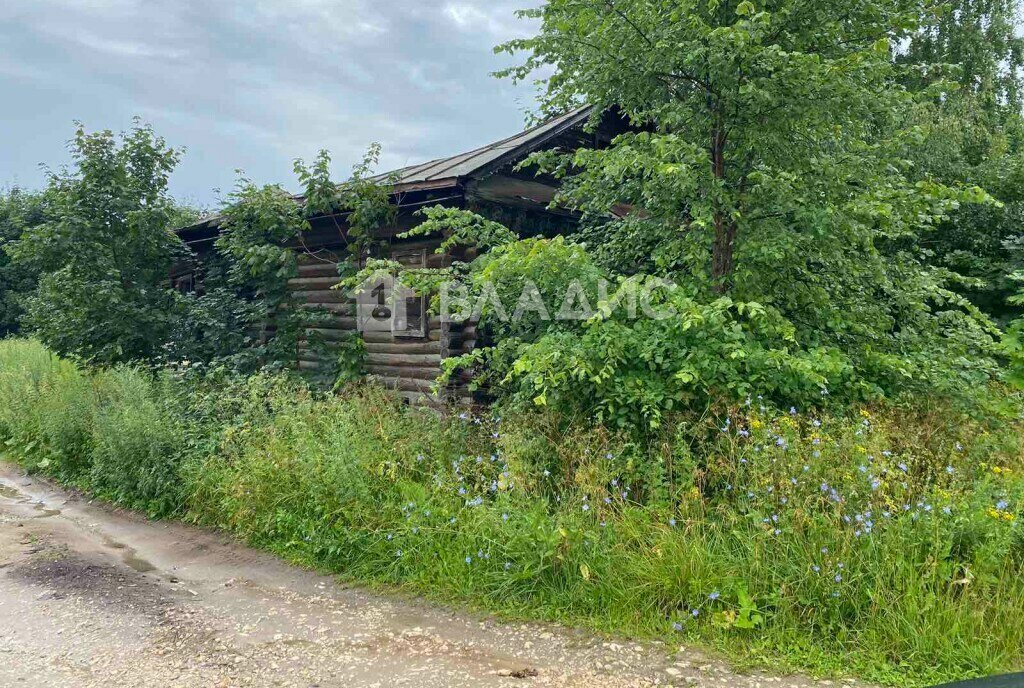 земля р-н Вязниковский д Олтушево муниципальное образование Вязники фото 5