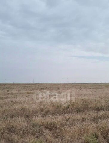 Штормовское с/пос, Сакский район, Дружба-2 СНТ фото