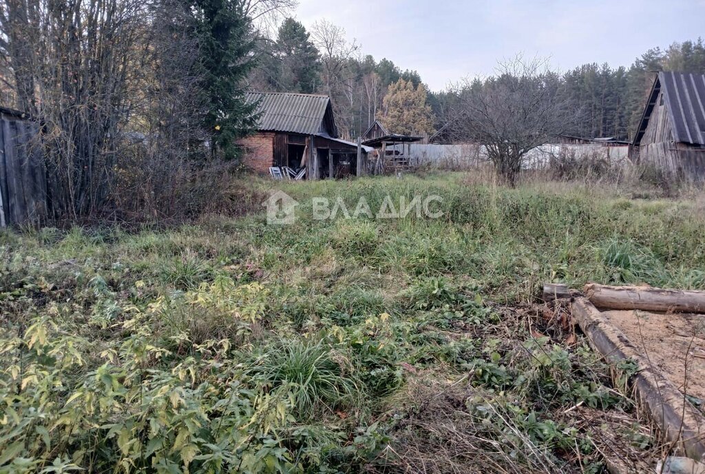 дом р-н Селивановский д Копнино ул Октябрьская 45 фото 10