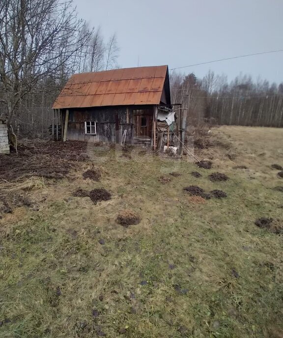 дом р-н Псковский д Михали Ядровская волость фото 12