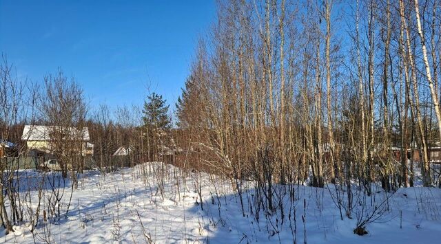 массив Борисова Грива снт Щит Рахьинское городское поселение, 91 фото