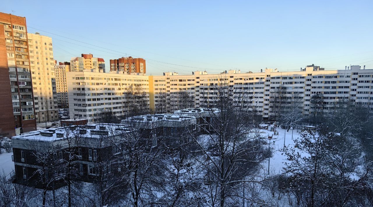 квартира г Санкт-Петербург метро Озерки пр-кт Северный 6к/1 округ Сосновское фото 25