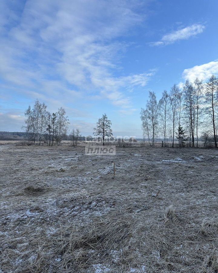 земля городской округ Раменский 50 км, 27, д. Сидорово, Егорьевское шоссе, Электроизолятор фото 15