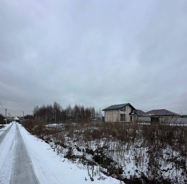 земля городской округ Пушкинский с Братовщина фото 2