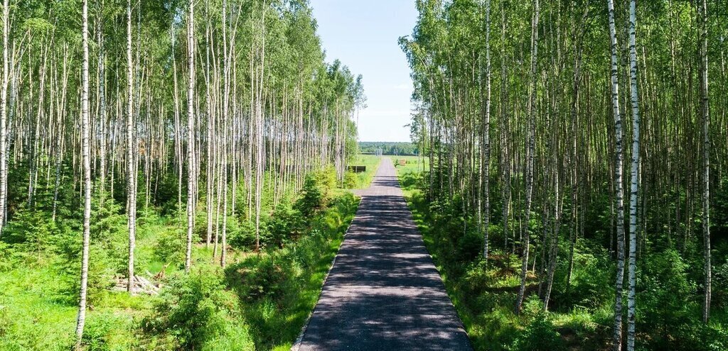 земля городской округ Ступино д Сумароково ул Сенная фото 8