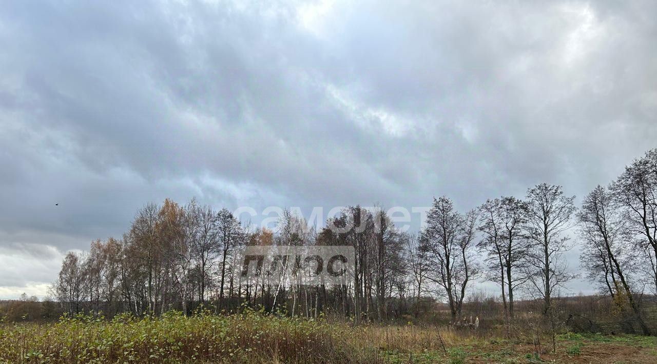 земля городской округ Раменский Володарский парк кп, Домодедовская фото 6