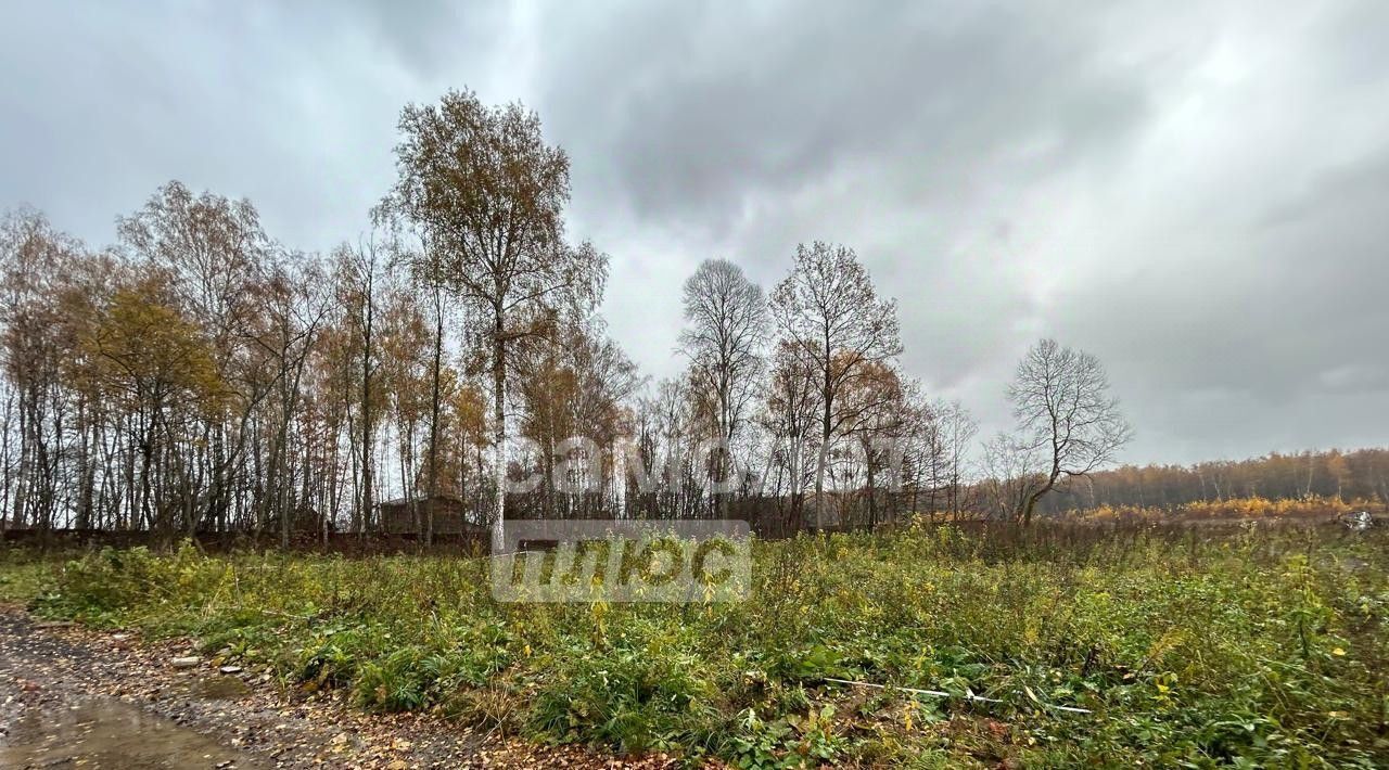 земля городской округ Раменский Володарский парк кп, Домодедовская фото 7