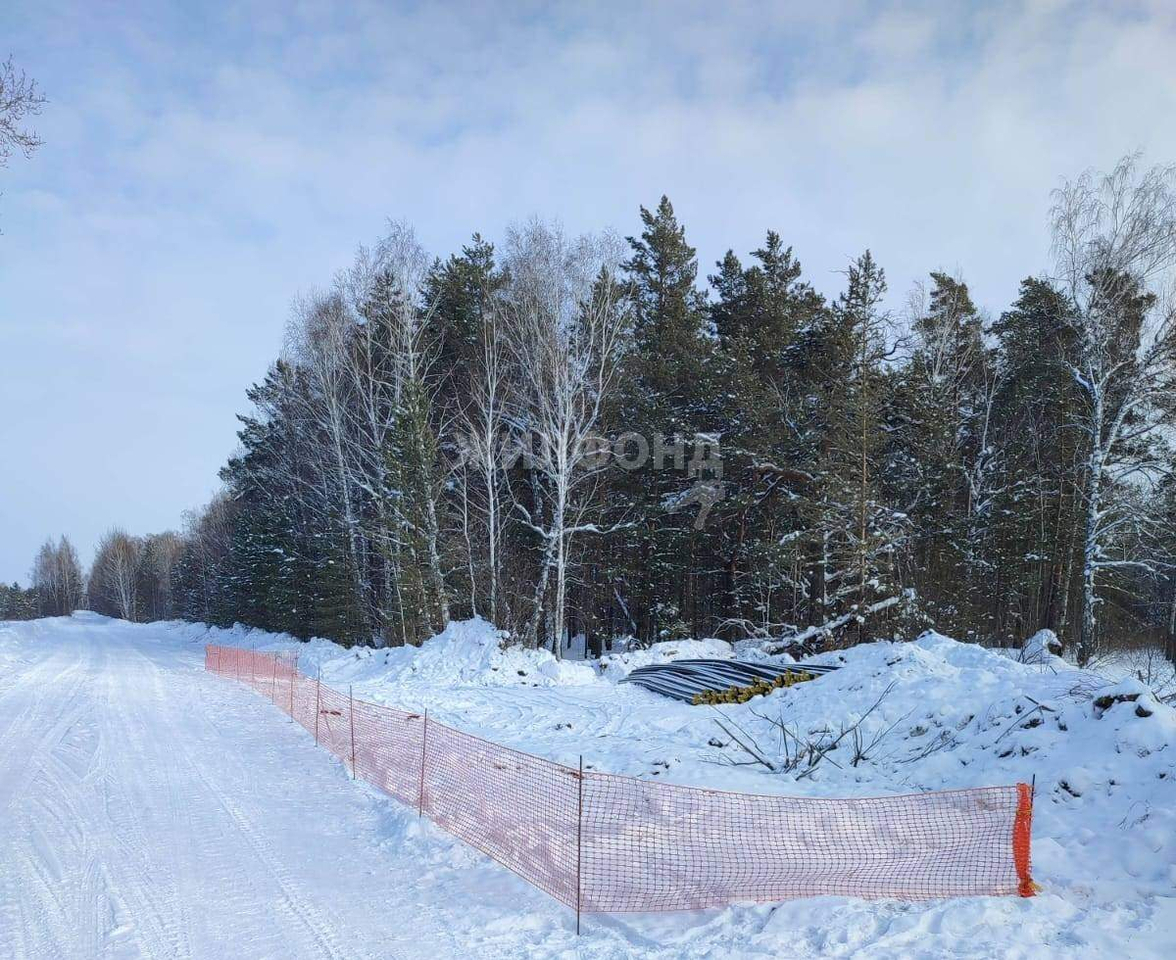 земля р-н Первомайский с Санниково Санниковский сельсовет фото 1