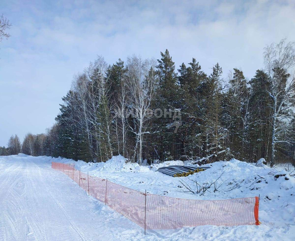 Санниковский сельсовет фото