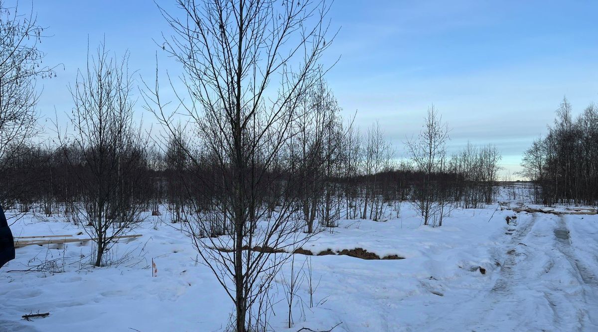 земля городской округ Волоколамский Новая Рига кп фото 1