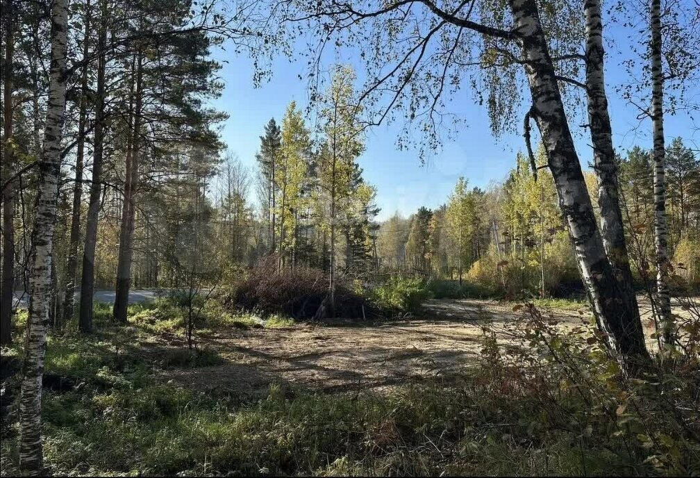 земля р-н Томский с Богашево ул Южная фото 2