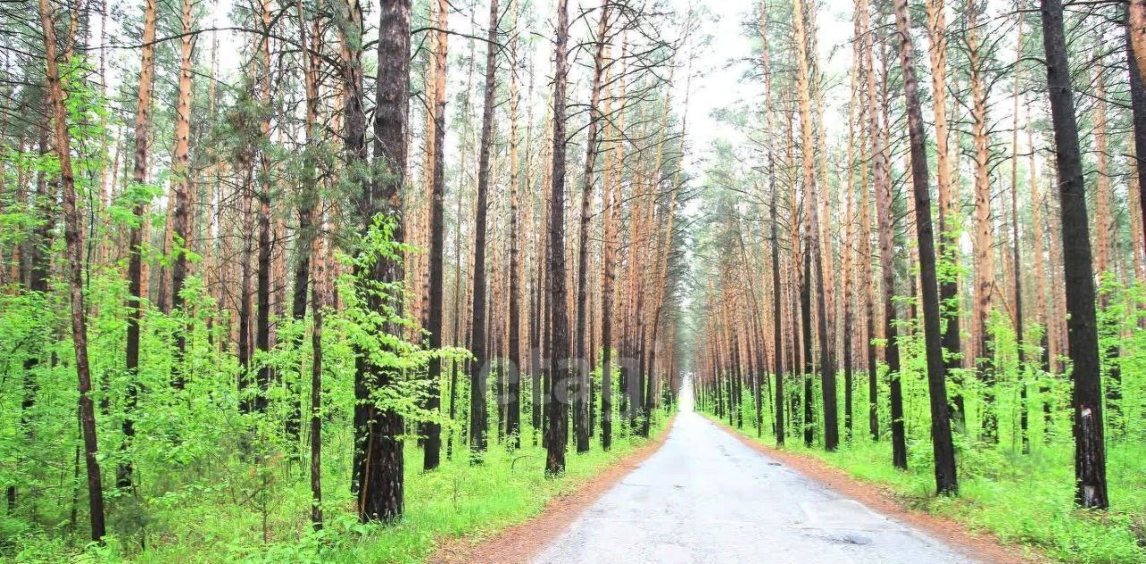 дом р-н Новосибирский Кудряшовский дп, ул. Лесная, 10 фото 3