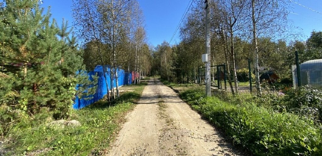 дом р-н Кировский снт Липки Синявинское городское поселение фото 4