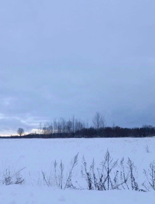 офис городской округ Талдомский д Новая Хотча фото 1