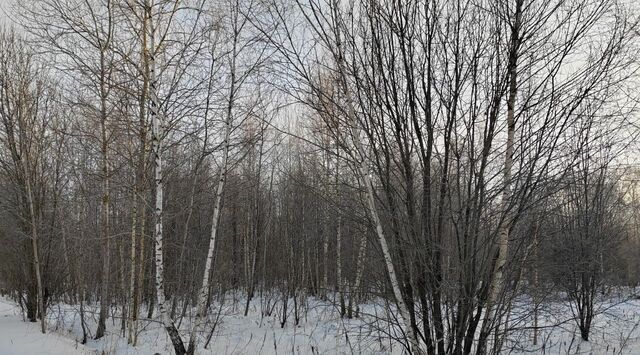 городской округ Чехов д Алачково фото