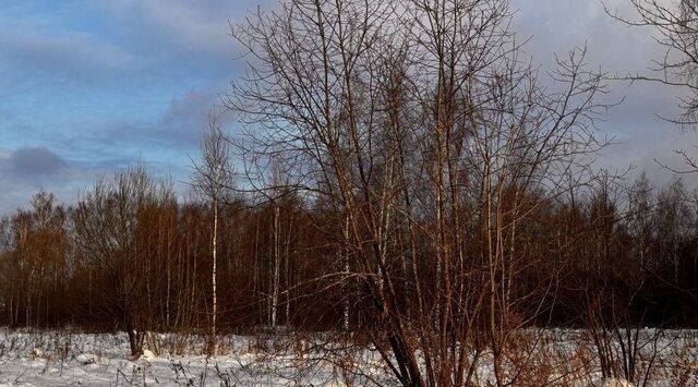 городской округ Чехов с Троицкое ул Строителей фото