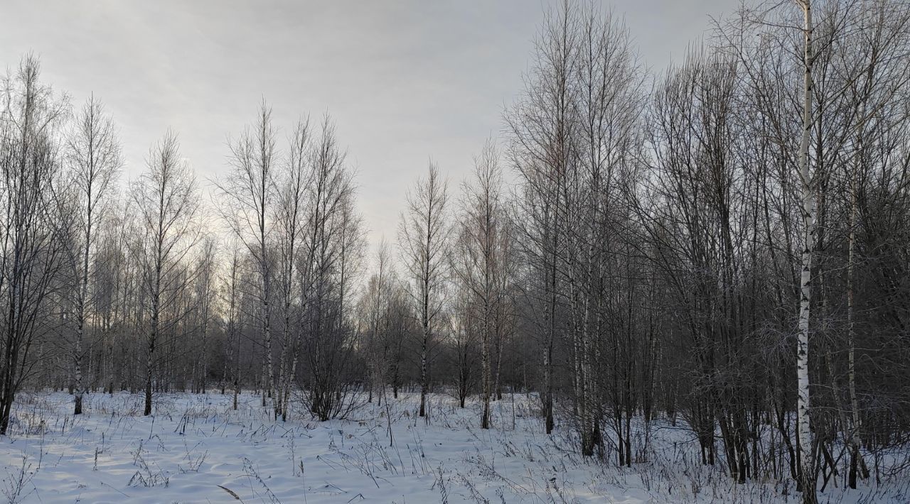 офис городской округ Чехов д Алачково фото 2