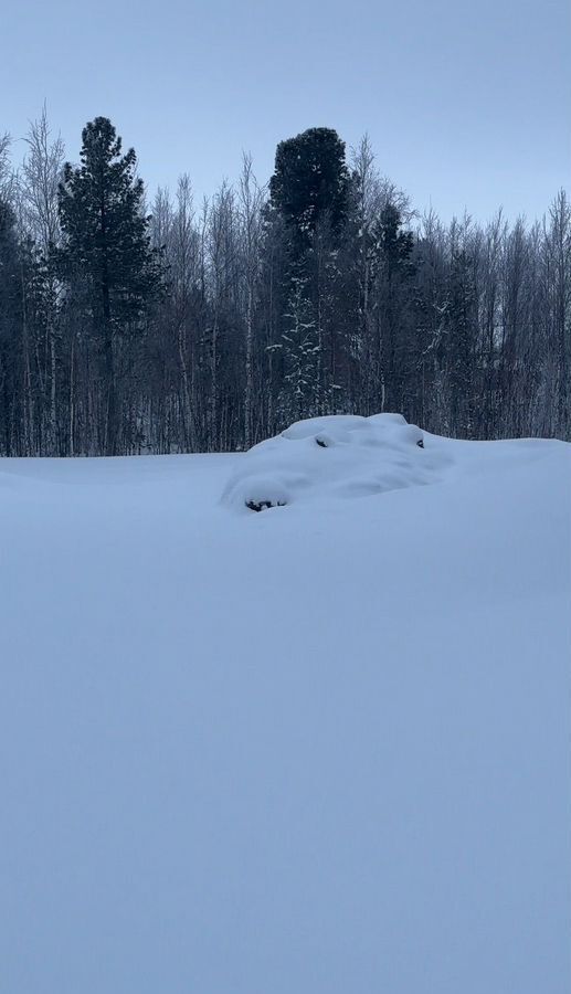 дом г Ханты-Мансийск снт Геофизик-2 Тюменская обл., садово-огородническое товарищество фото 12