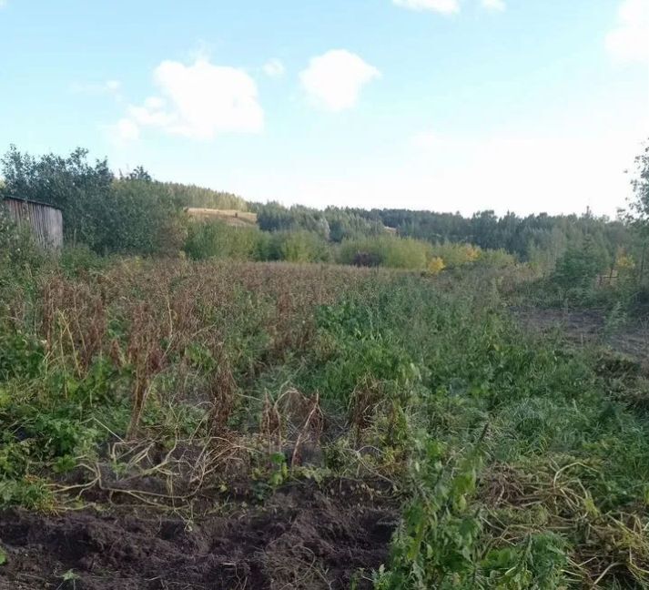 земля р-н Кстовский д Новоликеево ул Таи Каскиной 63 фото 2