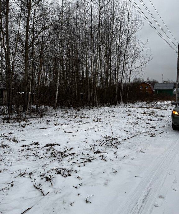 земля городской округ Орехово-Зуевский д Красное снт Сосна 204 фото 2