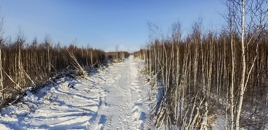 земля г Тюмень снт Царево фото 16