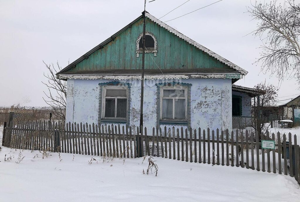 дом р-н Карасукский деревня Новая Курья Новый Строй, Речная улица фото 1