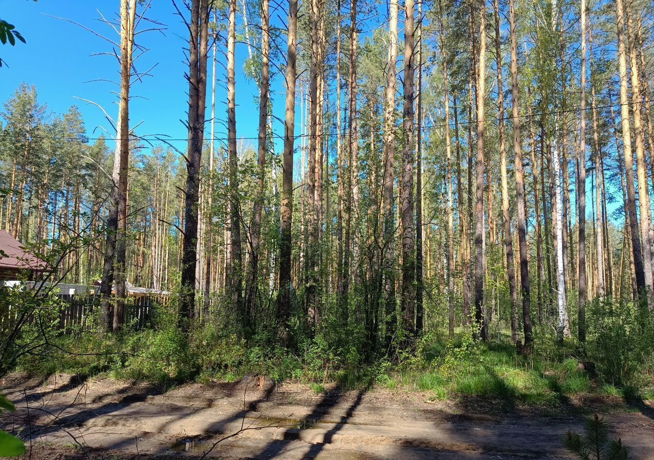 земля г Заречный д Гагарка ул Клубная Белоярский фото 2