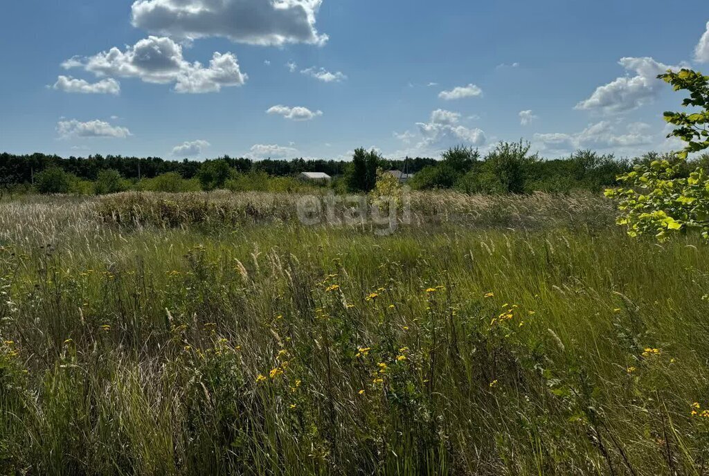 земля р-н Белгородский с Стрелецкое ул Покидова фото 5