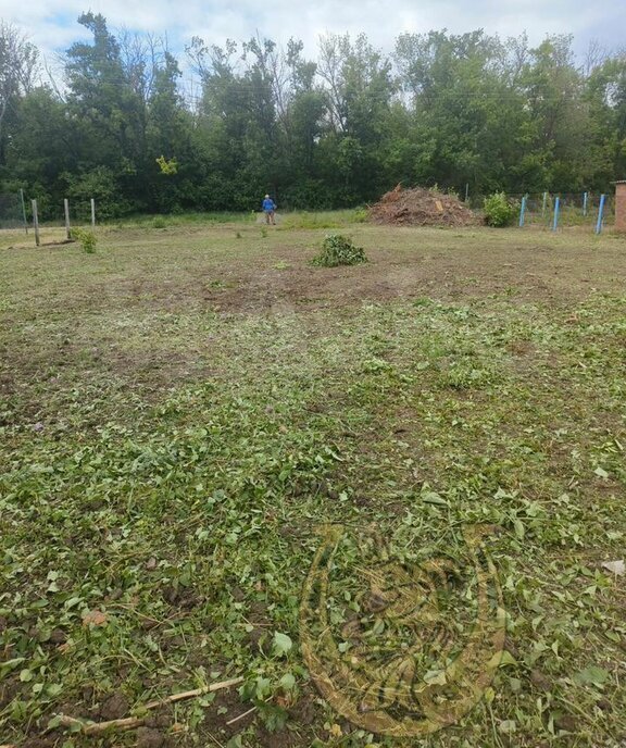 земля Большелогское сельское поселение, садоводческое товарищество Мускат, Бурая улица фото 2