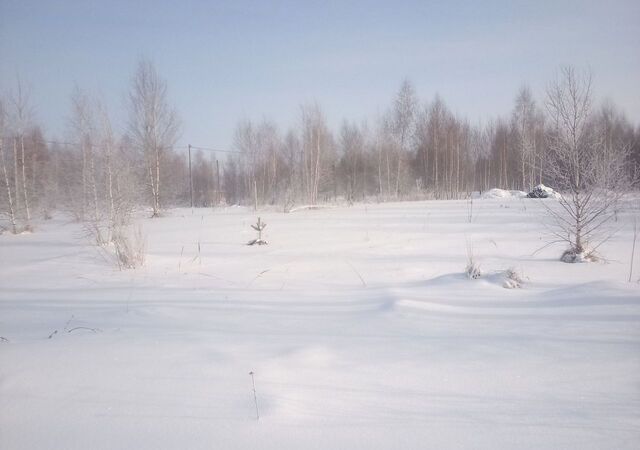 р-н Октябрьский посёлок Совхоз Заря сад Октябрьский фото