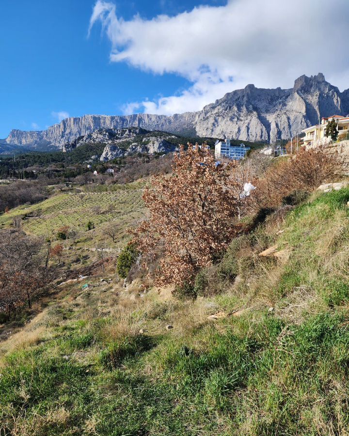 земля г Ялта г Алупка Алупкинское ш., 68 фото 2