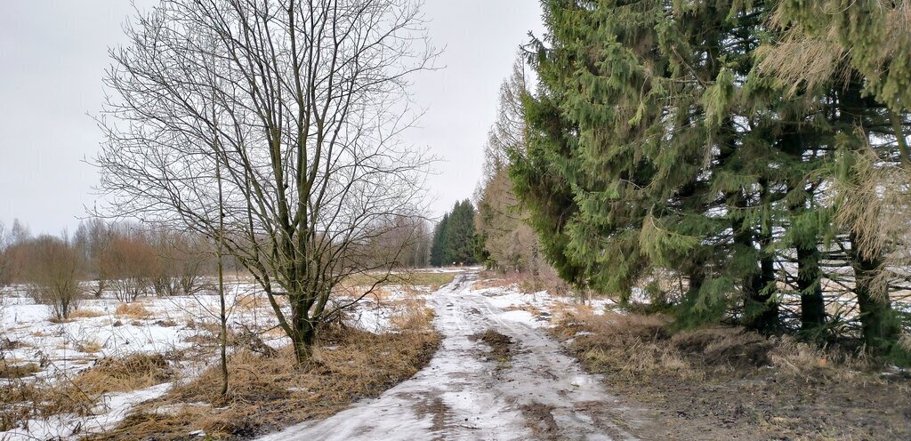 земля р-н Вологодский п Огарково фото 6