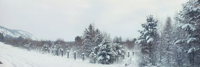 земля с Малое Голоустное фото