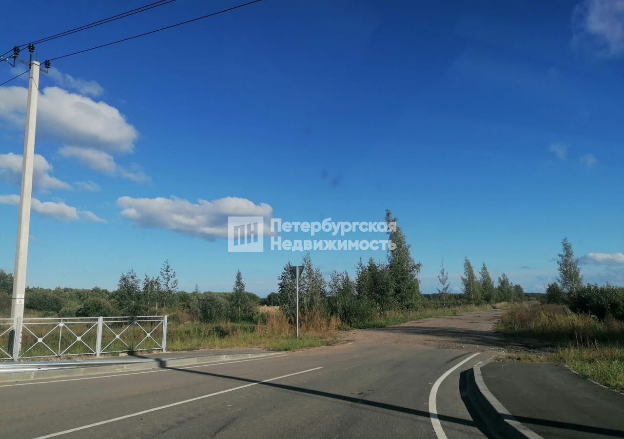 земля р-н Шимский д Оспино ул Озёрная Шимское городское поселение, Шимск фото 3