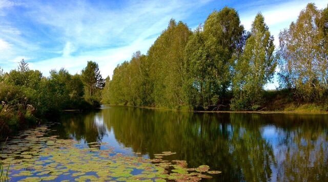 п Воробьевский снт Реестр сельсовет, ДНТ, Кудряшовский фото