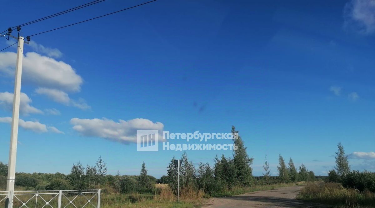 земля р-н Шимский д Оспино ул Лесная Шимское городское поселение фото 4