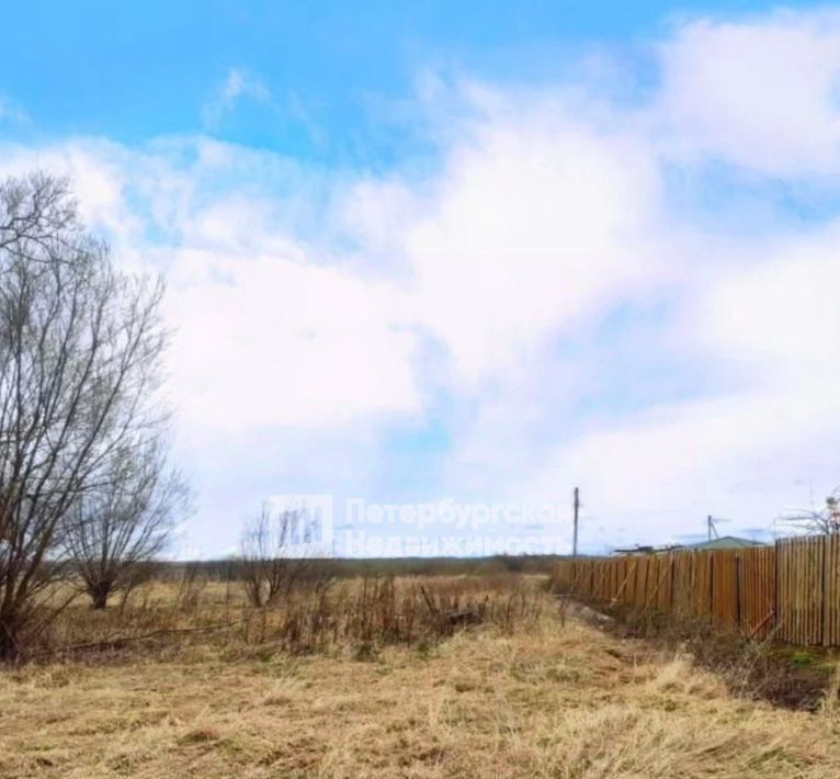 земля р-н Шимский д Оспино ул Лесная Шимское городское поселение фото 3