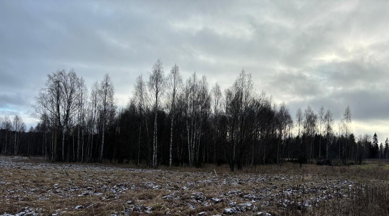 земля городской округ Можайский д Бурково фото 1