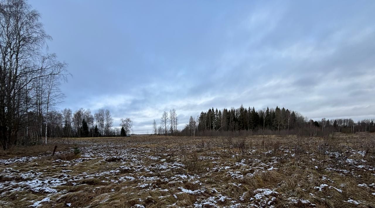 земля городской округ Можайский д Бурково фото 2