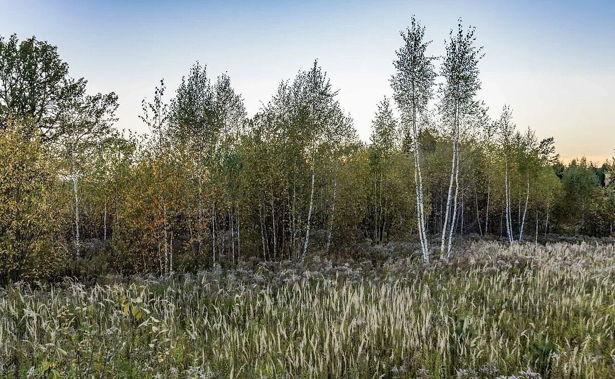 земля городской округ Одинцовский 18 км, территория Новое Николино, Горки-10, Рублёво-Успенское шоссе, д. Дарьино фото 2