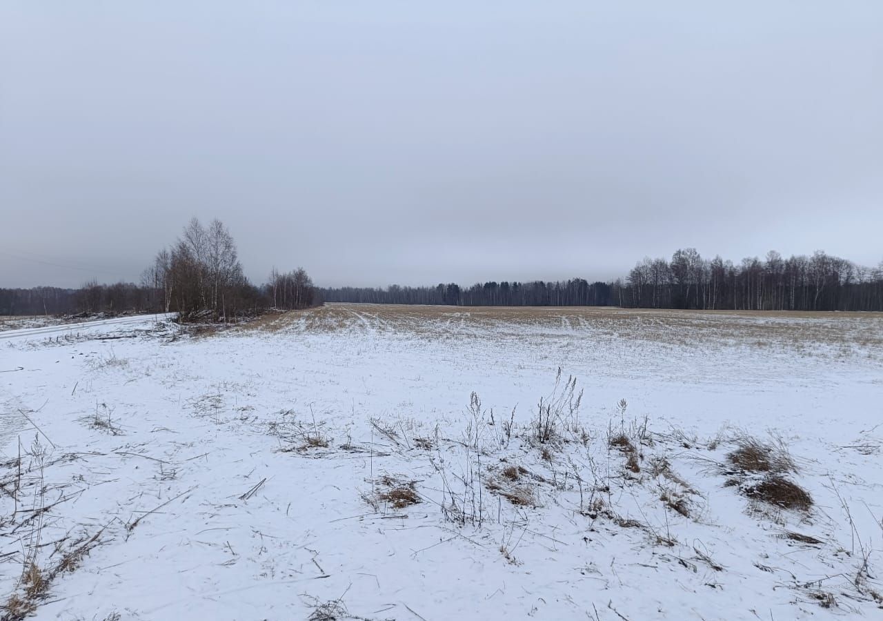 земля р-н Торжокский д Чайкино Грузинское сельское поселение, 15, Торжок фото 1