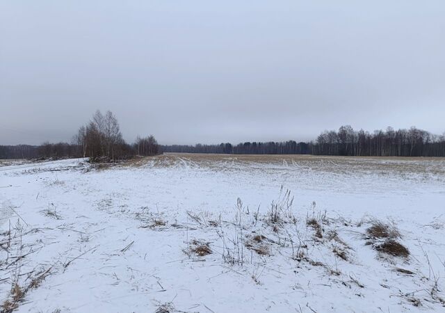 земля д Чайкино Грузинское сельское поселение, 15, Торжок фото