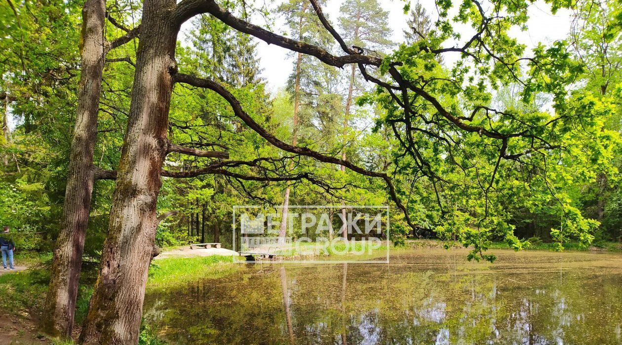 дом городской округ Пушкинский д Грибово 19 фото 20