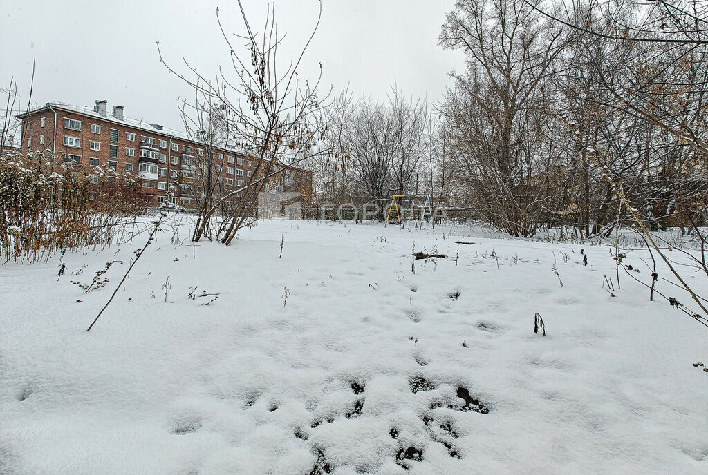 квартира г Новосибирск р-н Дзержинский Берёзовая роща пр-кт Дзержинского 69 фото 23