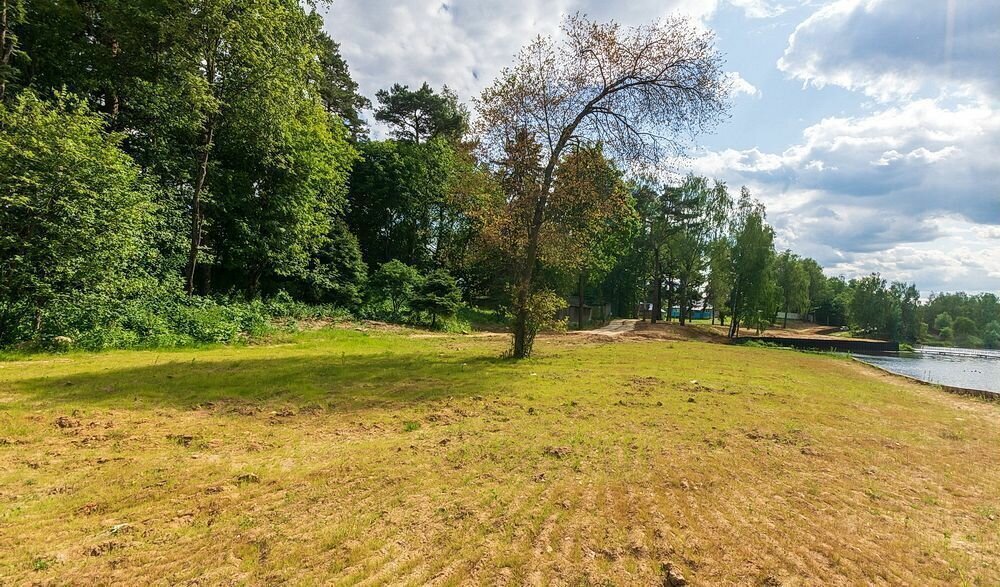 земля г Красногорск Павшино территориальное управление Ильинское фото 8