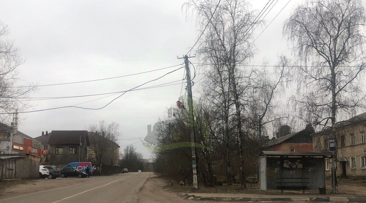 земля городской округ Раменский с Зюзино Удельная, ул. Старая Слобода фото 4