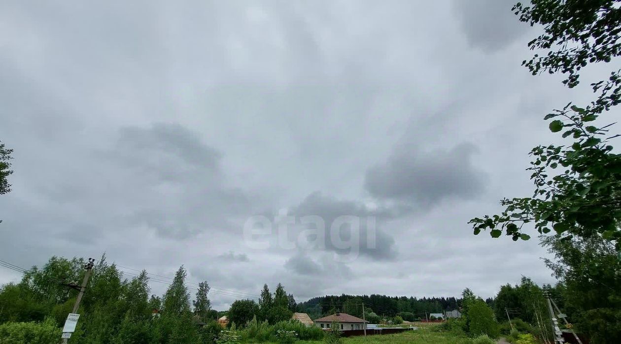 земля городской округ Дмитровский с Озерецкое Лобня фото 4