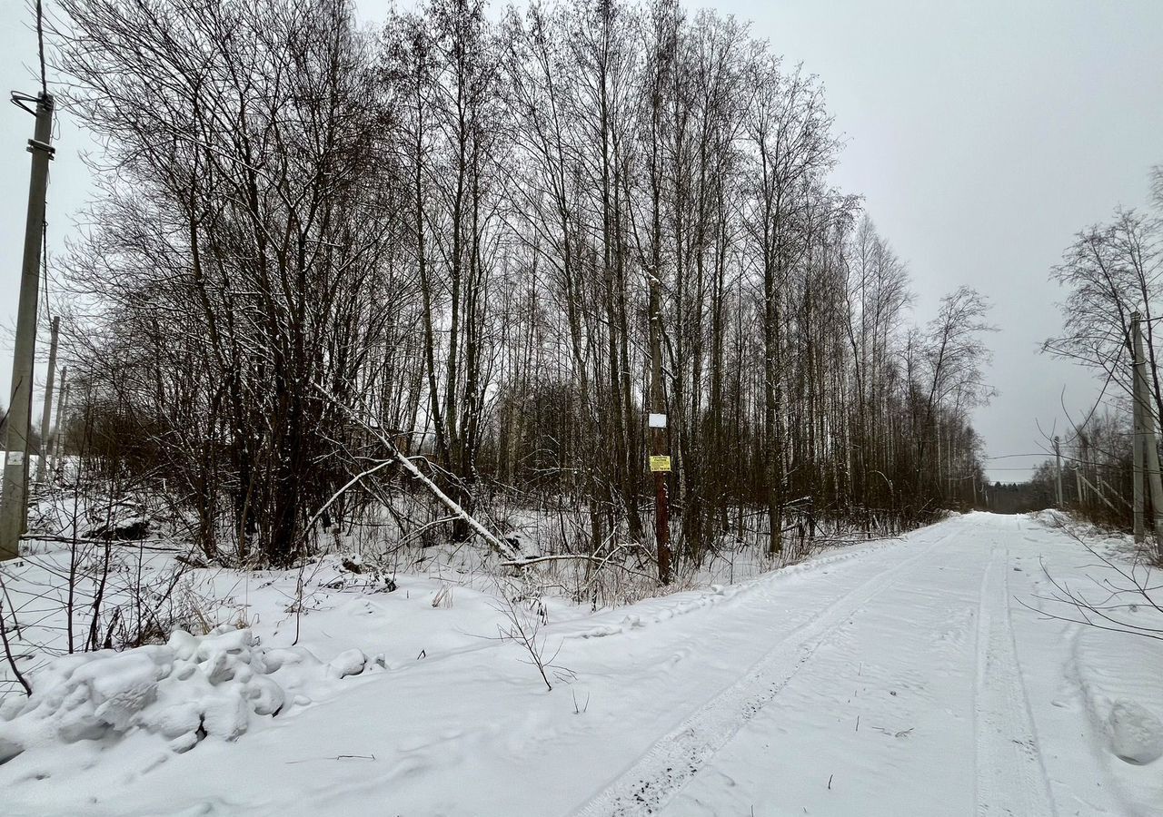 земля г Череповец р-н Зашекснинский ул Якунинская фото 3