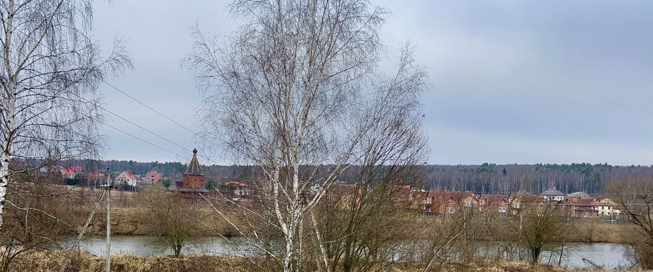 земля городской округ Раменский д Малое Саврасово Домодедовская, 17А фото 11